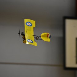 Indoor Flying 07.11.2019